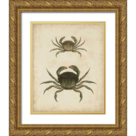 Crustaceans IV Gold Ornate Wood Framed Art Print with Double Matting by Sowerby, James