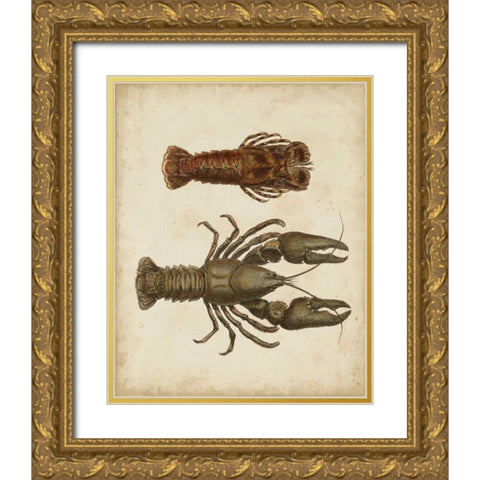 Crustaceans V Gold Ornate Wood Framed Art Print with Double Matting by Sowerby, James