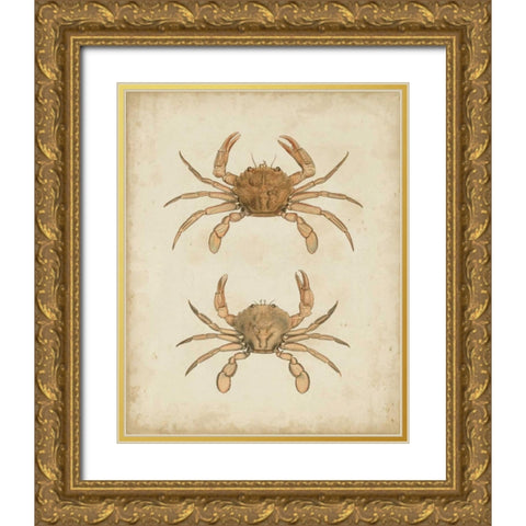 Crustaceans VI Gold Ornate Wood Framed Art Print with Double Matting by Sowerby, James