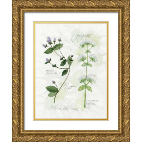 Oregano and Mint Gold Ornate Wood Framed Art Print with Double Matting by Della-Piana, Elissa