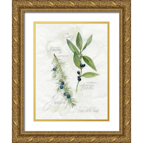 Bay Leaf and Juniper Gold Ornate Wood Framed Art Print with Double Matting by Della-Piana, Elissa