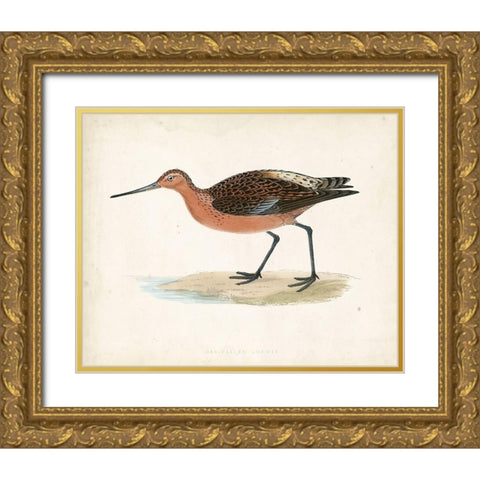 Morris Sandpiper II Gold Ornate Wood Framed Art Print with Double Matting by Morris