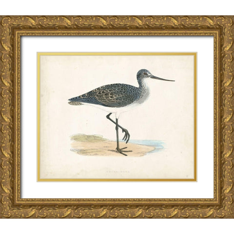 Morris Sandpiper III Gold Ornate Wood Framed Art Print with Double Matting by Morris