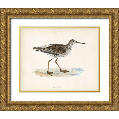 Morris Sandpiper V Gold Ornate Wood Framed Art Print with Double Matting by Morris