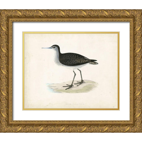 Morris Sandpiper VIII Gold Ornate Wood Framed Art Print with Double Matting by Morris