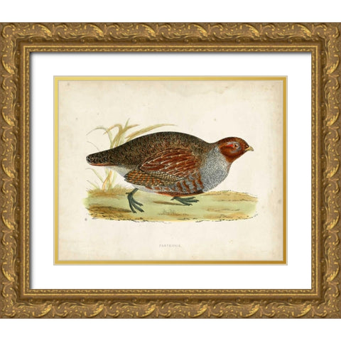 Morris Pheasants I Gold Ornate Wood Framed Art Print with Double Matting by Morris