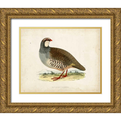Morris Pheasants II Gold Ornate Wood Framed Art Print with Double Matting by Morris