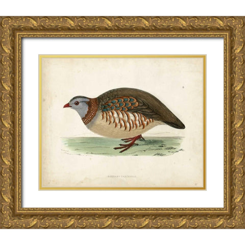 Morris Pheasants III Gold Ornate Wood Framed Art Print with Double Matting by Morris
