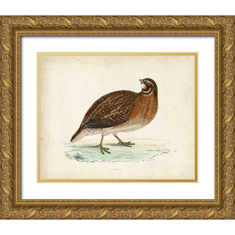 Morris Pheasants IV Gold Ornate Wood Framed Art Print with Double Matting by Morris