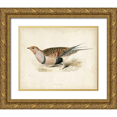 Morris Pheasants V Gold Ornate Wood Framed Art Print with Double Matting by Morris