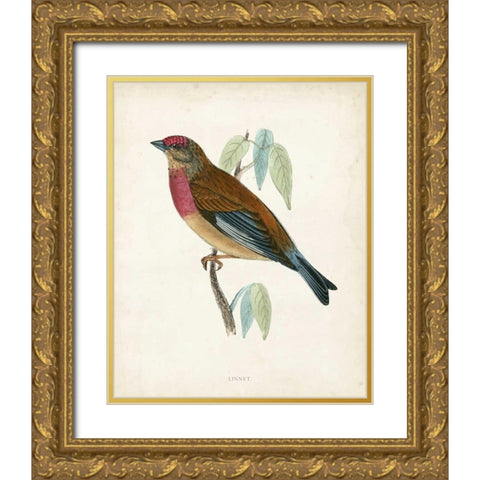 Morris Linnet Gold Ornate Wood Framed Art Print with Double Matting by Morris