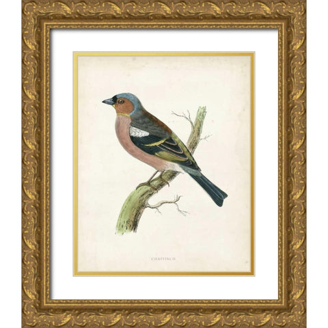 Morris Chaffinch Gold Ornate Wood Framed Art Print with Double Matting by Morris