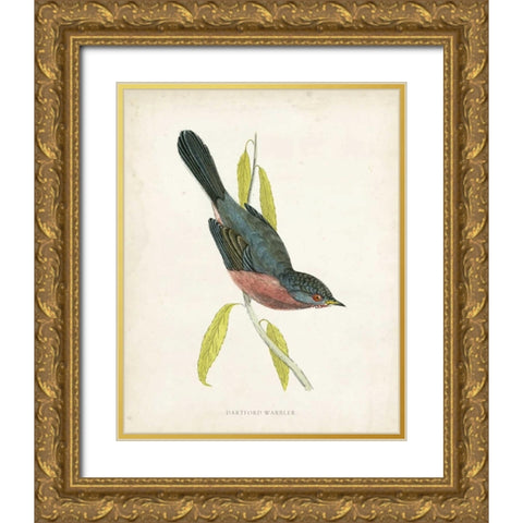 Morris Dartford Warbler Gold Ornate Wood Framed Art Print with Double Matting by Morris
