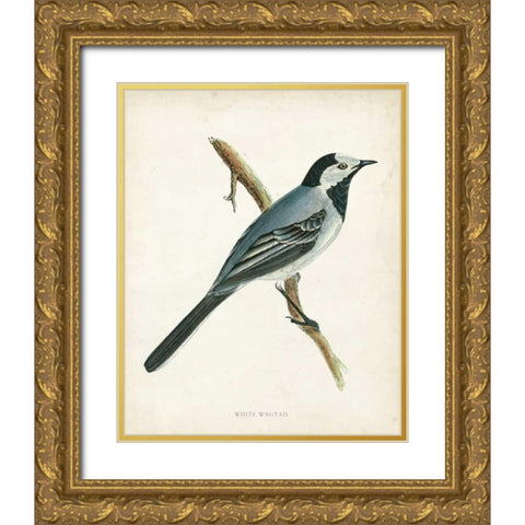 Morris White Wagtail Gold Ornate Wood Framed Art Print with Double Matting by Morris