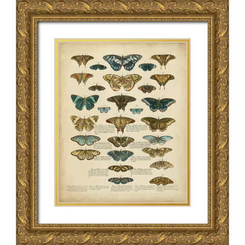 Tabula de Papilio Gold Ornate Wood Framed Art Print with Double Matting by Sloan