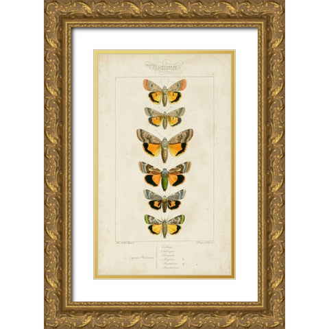Pauquet Butterflies I Gold Ornate Wood Framed Art Print with Double Matting by Pauquet