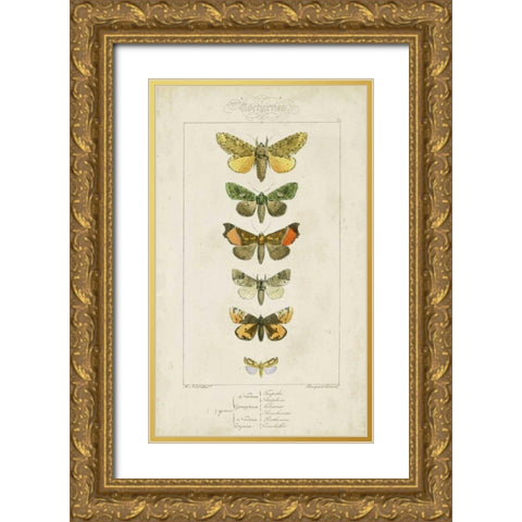 Pauquet Butterflies II Gold Ornate Wood Framed Art Print with Double Matting by Pauquet