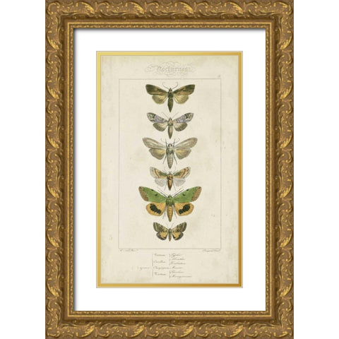 Pauquet Butterflies III Gold Ornate Wood Framed Art Print with Double Matting by Pauquet