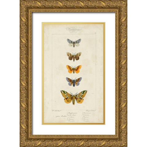 Pauquet Butterflies IV Gold Ornate Wood Framed Art Print with Double Matting by Pauquet