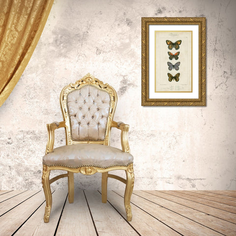 Pauquet Butterflies V Gold Ornate Wood Framed Art Print with Double Matting by Pauquet