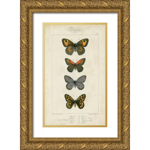 Pauquet Butterflies V Gold Ornate Wood Framed Art Print with Double Matting by Pauquet