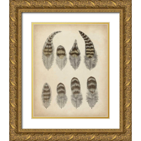Vintage Feathers I Gold Ornate Wood Framed Art Print with Double Matting by Unknown