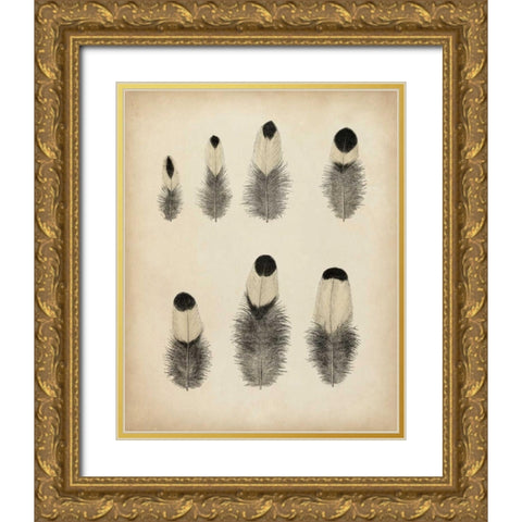 Vintage Feathers II Gold Ornate Wood Framed Art Print with Double Matting by Unknown