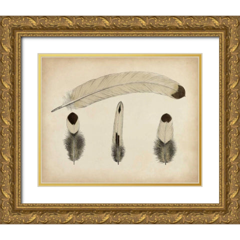Vintage Feathers V Gold Ornate Wood Framed Art Print with Double Matting by Unknown