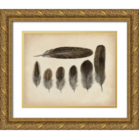 Vintage Feathers VI Gold Ornate Wood Framed Art Print with Double Matting by Unknown
