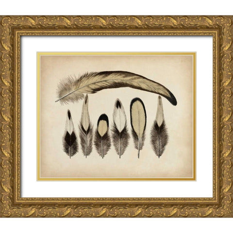 Vintage Feathers VII Gold Ornate Wood Framed Art Print with Double Matting by Unknown