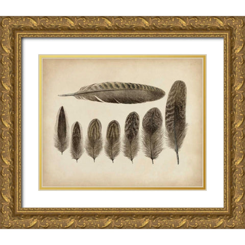 Vintage Feathers VIII Gold Ornate Wood Framed Art Print with Double Matting by Unknown