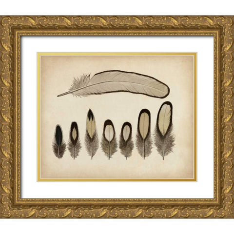 Vintage Feathers IX Gold Ornate Wood Framed Art Print with Double Matting by Unknown