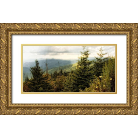 Custom Early Autumn Vista (ASH) Gold Ornate Wood Framed Art Print with Double Matting by Head, Danny
