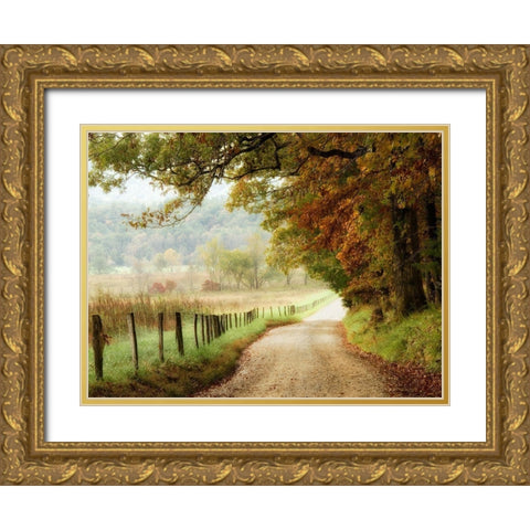 Autumn on a Country Road Gold Ornate Wood Framed Art Print with Double Matting by Head, Danny
