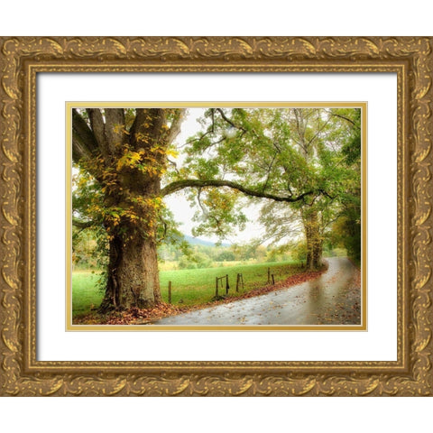 Wet Path Gold Ornate Wood Framed Art Print with Double Matting by Head, Danny