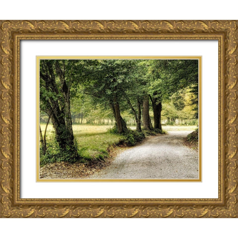 Path in the Country Gold Ornate Wood Framed Art Print with Double Matting by Head, Danny