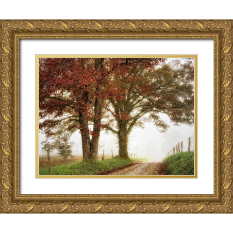 Two Oaks Gold Ornate Wood Framed Art Print with Double Matting by Head, Danny