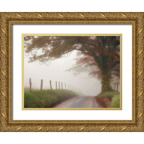 Blanket of Fog Gold Ornate Wood Framed Art Print with Double Matting by Head, Danny