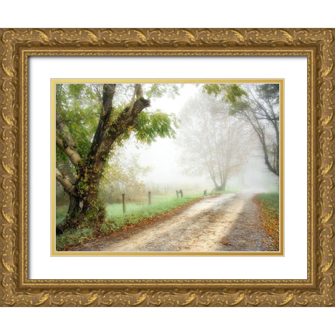 Feel the Silence Gold Ornate Wood Framed Art Print with Double Matting by Head, Danny