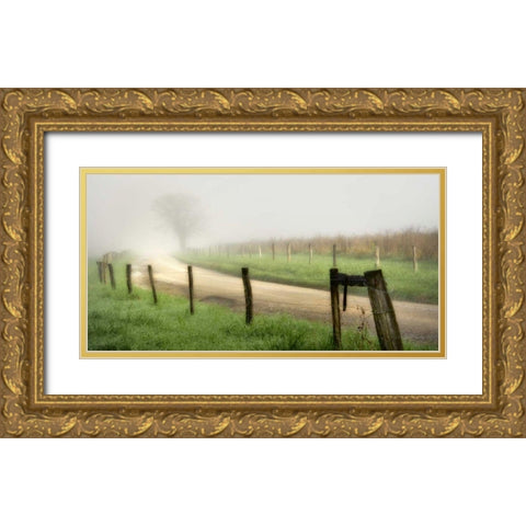 Around the Bend Gold Ornate Wood Framed Art Print with Double Matting by Head, Danny
