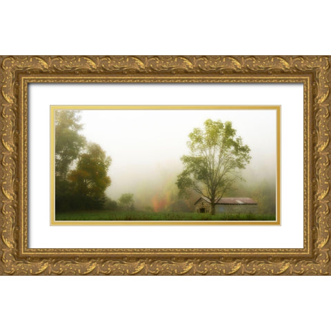Fog at the Farm Gold Ornate Wood Framed Art Print with Double Matting by Head, Danny