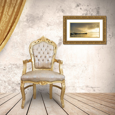 Marina Morning II Gold Ornate Wood Framed Art Print with Double Matting by Head, Danny