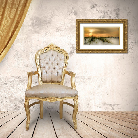 Seagulls at Sunrise Gold Ornate Wood Framed Art Print with Double Matting by Head, Danny