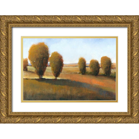 Afternoon Light I Gold Ornate Wood Framed Art Print with Double Matting by OToole, Tim