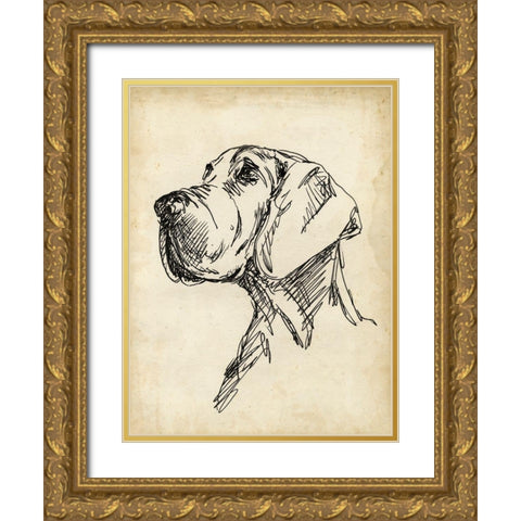 Breed Studies VI Gold Ornate Wood Framed Art Print with Double Matting by Harper, Ethan