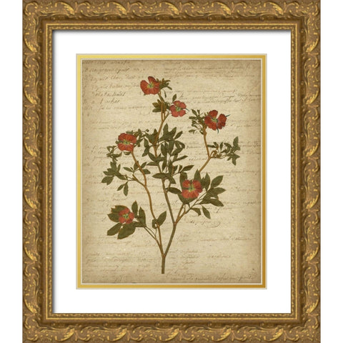 Romantic Pressed Flowers I Gold Ornate Wood Framed Art Print with Double Matting by Goldberger, Jennifer