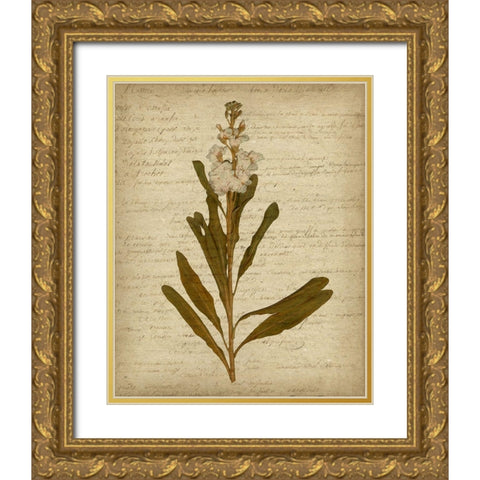 Romatic Pressed Flowers III Gold Ornate Wood Framed Art Print with Double Matting by Goldberger, Jennifer