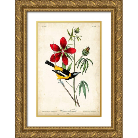 Audubon Bird and Botanical I Gold Ornate Wood Framed Art Print with Double Matting by Audubon, John James