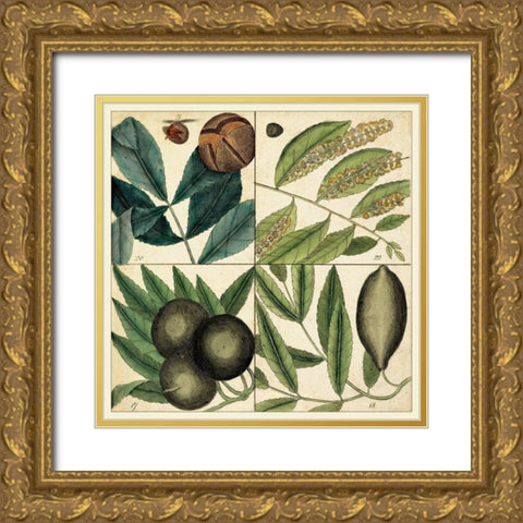 Catesby Leaf Quadrant IV Gold Ornate Wood Framed Art Print with Double Matting by Catesby, Mark