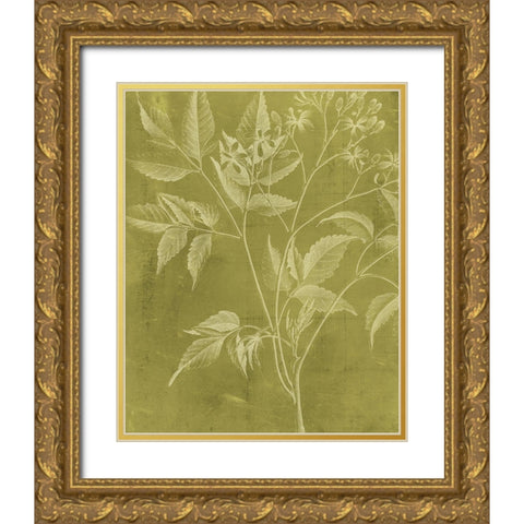 Modern Botany V Gold Ornate Wood Framed Art Print with Double Matting by Vision Studio